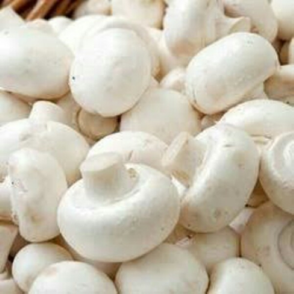 FRESH MUSHROOMS- 2.5 KG01